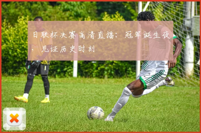 日联杯决赛高清直播：冠军诞生夜，见证历史时刻