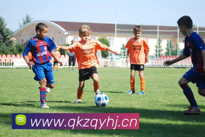 App Interface Preview